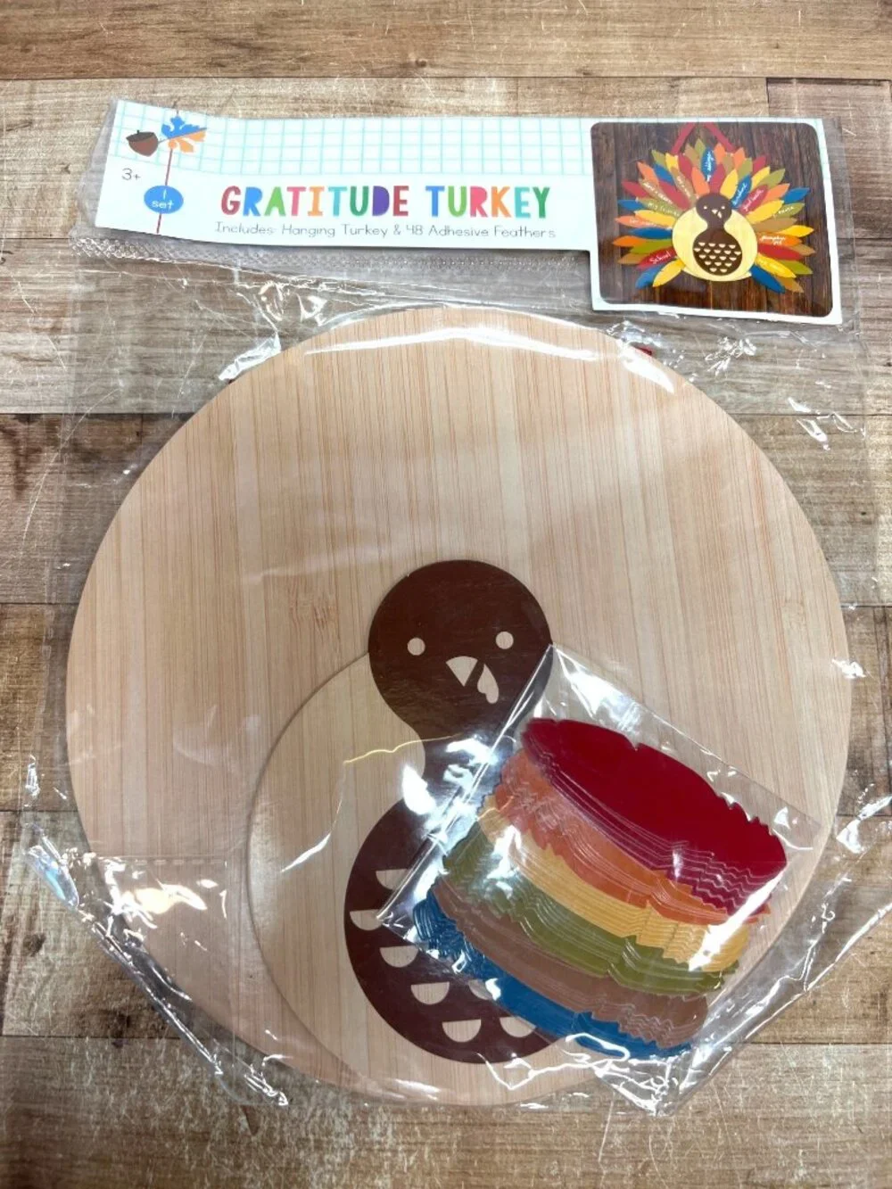 Gratitude Turkey Kit With Hanging Board & 48 Adhesive Feathers Thanksgiving Craf